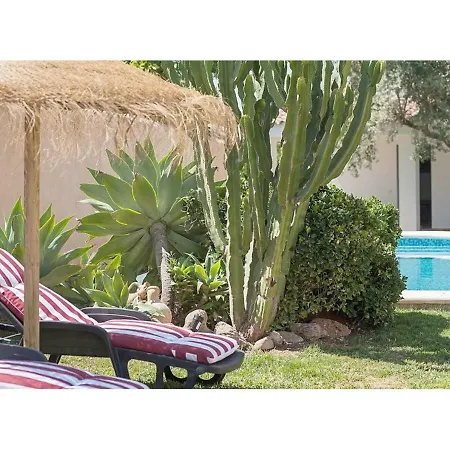 Deluxe Con Piscina Privada Conil De La Frontera